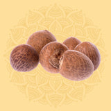 Betel Nuts (10)