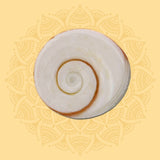 Gomti Chakra (5)