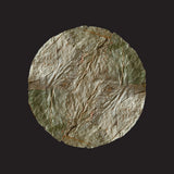 Leaf Plate (5)