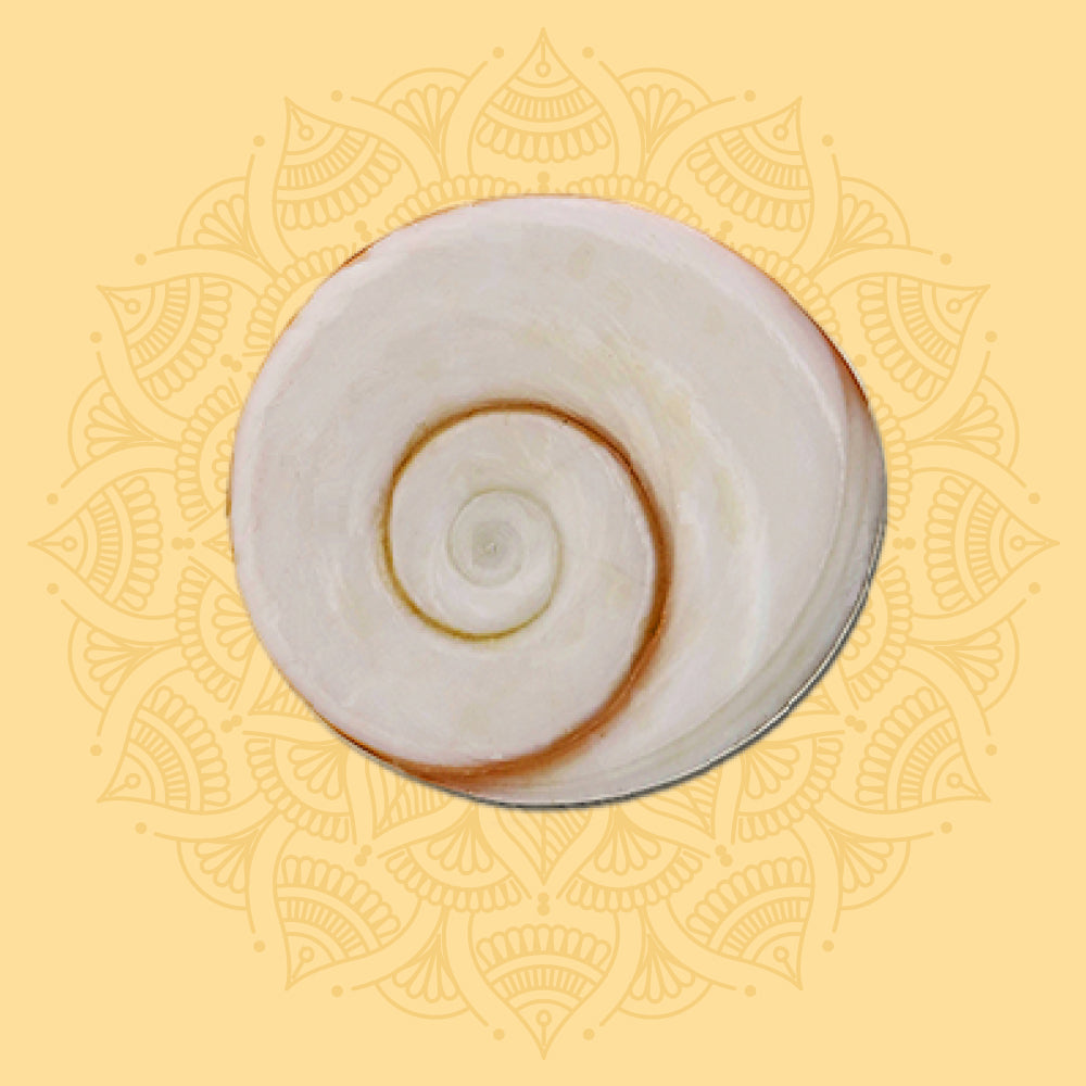Gomti Chakra (5)