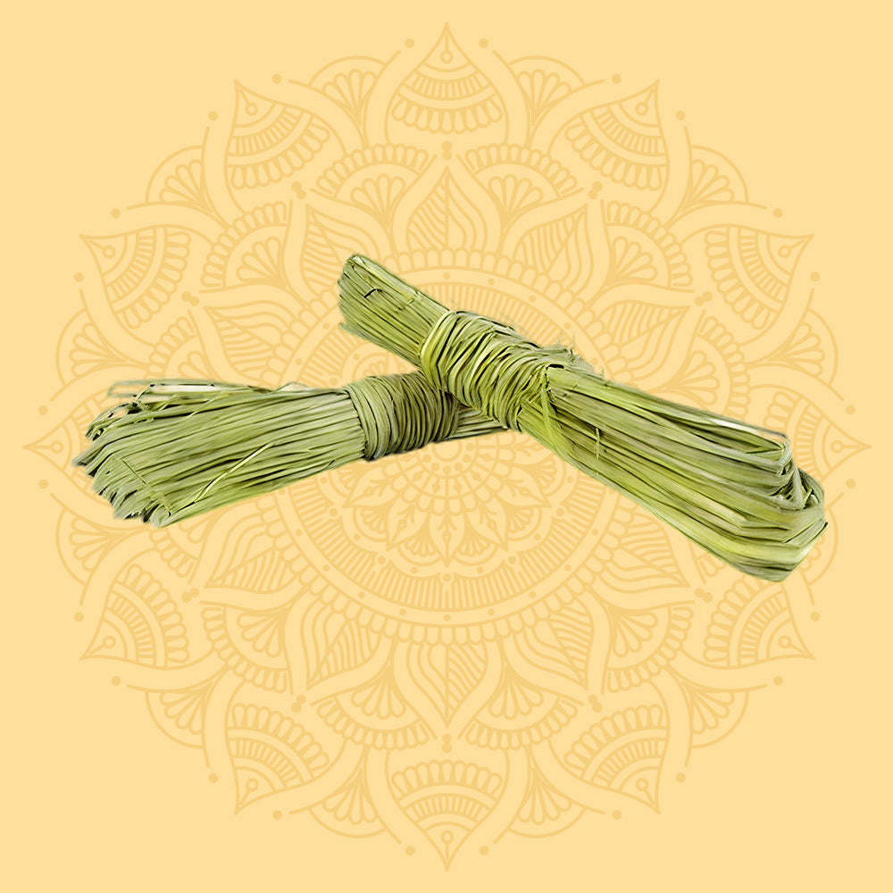 Kusha Grass (1)